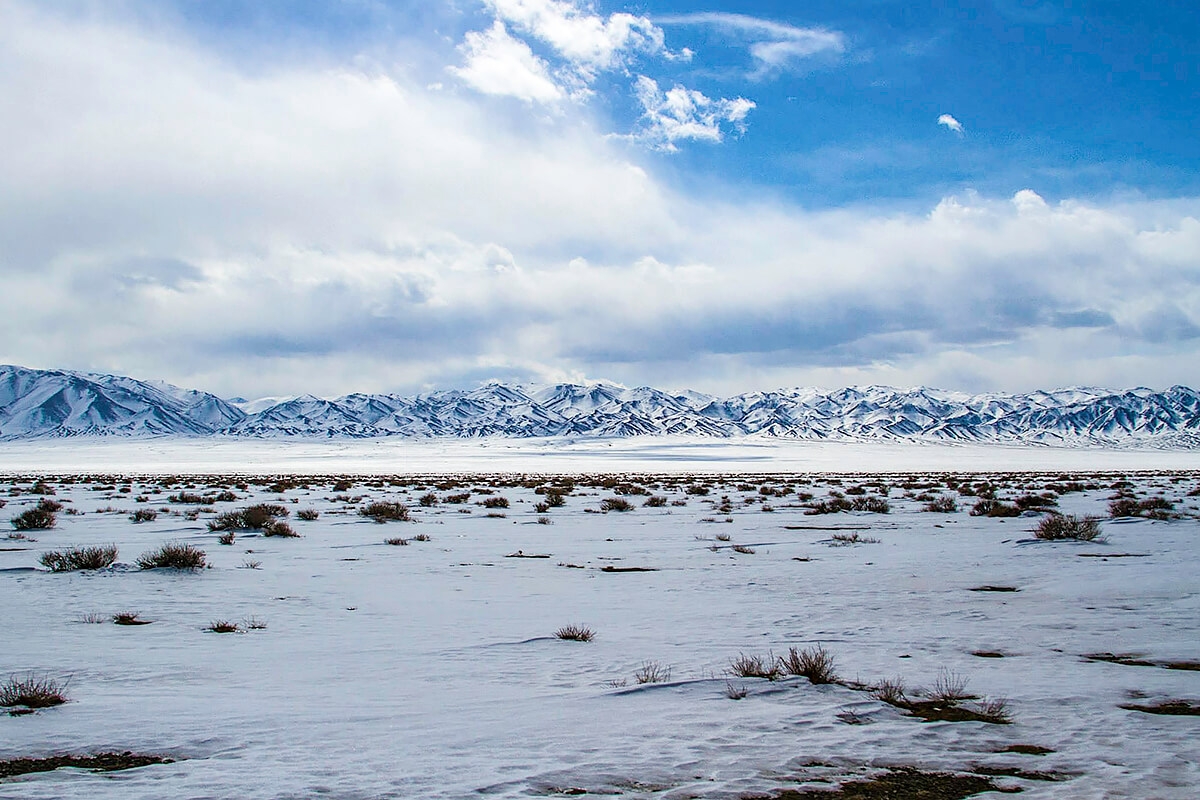 Wildlife Initiative and Snow Leopard Conservancy together protecting snow leopard!